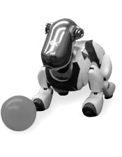 aibo 2006